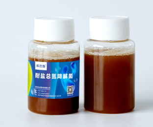 库巴鲁®耐盐总氮降解菌