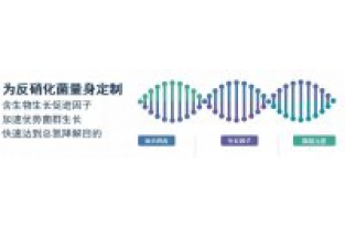 为什么要向废水中投加碳源