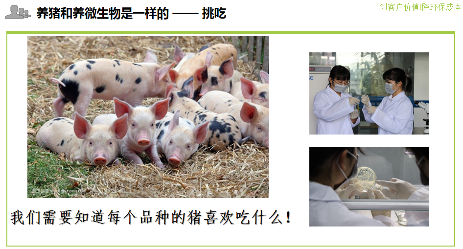 用养猪猪的心态看待微生物水处理