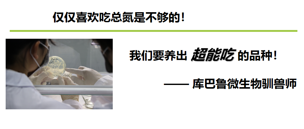 用养猪猪的心态看待微生物水处理