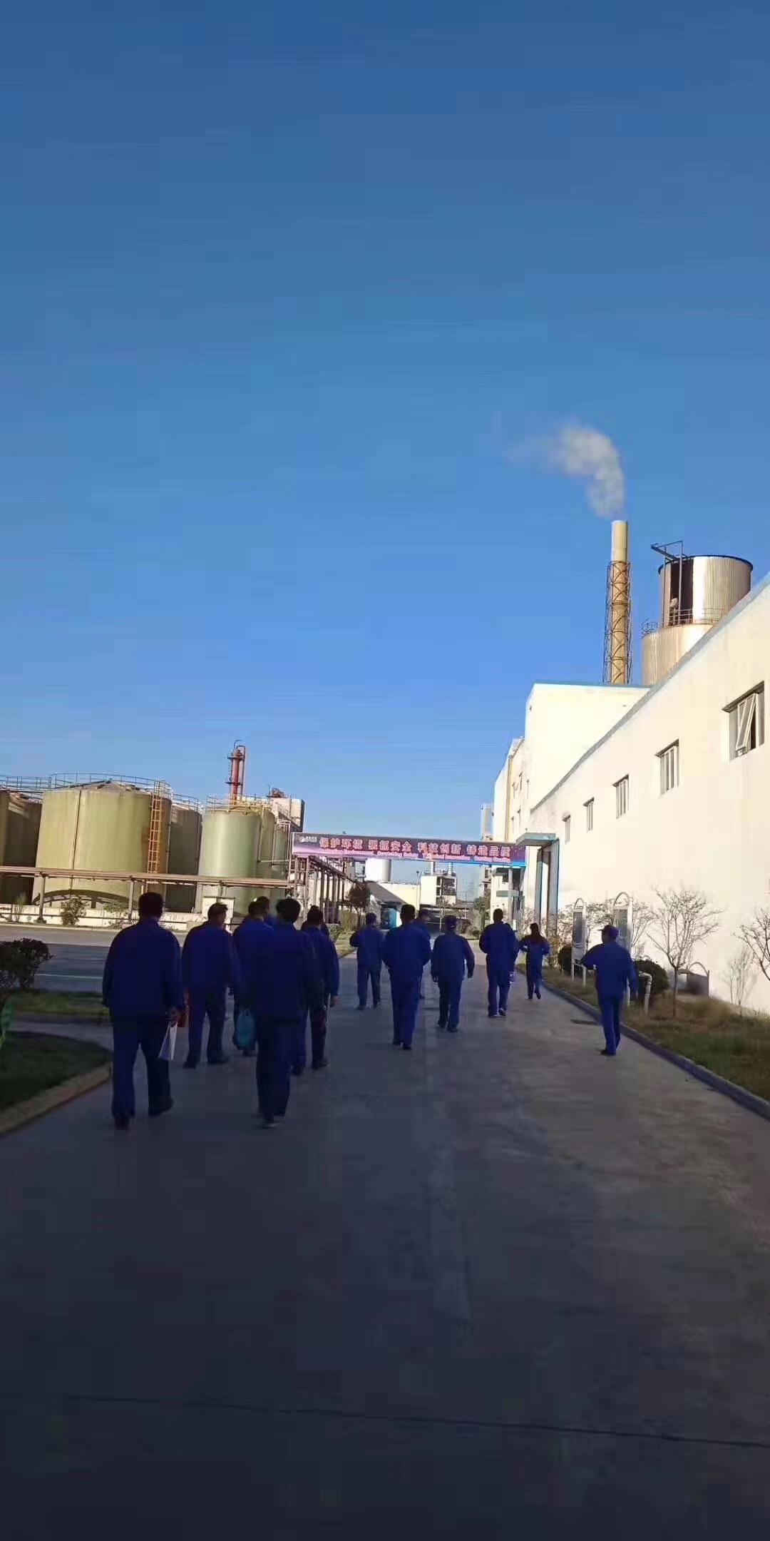 彩运网河南生产基地