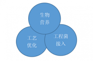非工程改造-库巴鲁总氮提标技术—彩运网