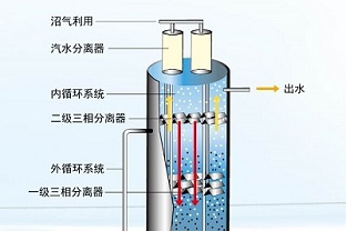 厌氧反应有几个阶段？