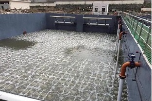碳源的价格水涨船高，污水厂如何减少碳源投加量来降低成本？