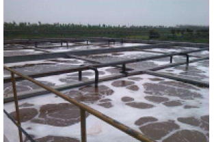 夏季高温对污水处理中的微生物有哪些影响